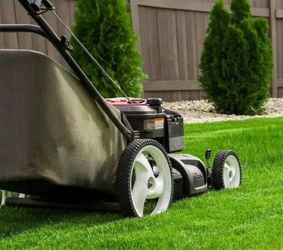A lawn mower is sitting in the grass.
