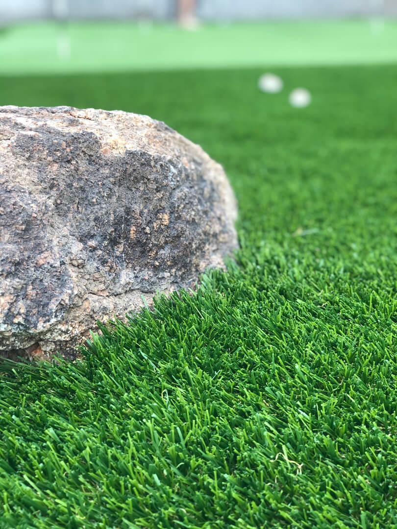 Grass and black stone